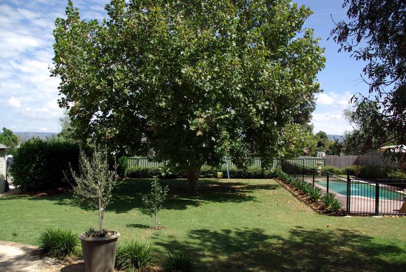 Massive Price Reduction Picture 3