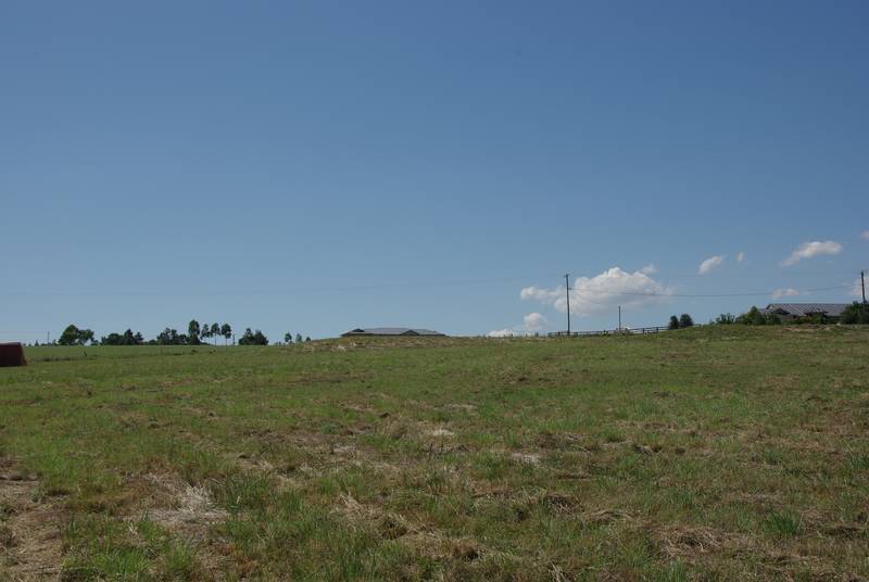 Five Fabulous Acres! Picture 1