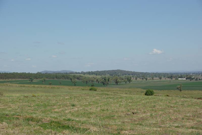 Five Fabulous Acres! Picture 3