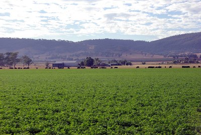 Productive Irrigation farm Picture