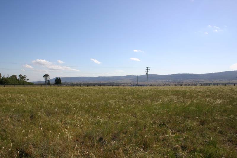 Lot 341 and 342 Allan Cunningham Road, Scone Picture 1