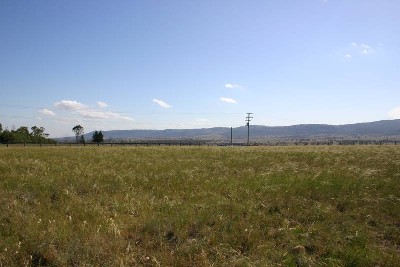 Lot 341 and 342 Allan Cunningham Road, Scone Picture