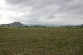 91 Acres (36.8ha) of Prime Farming Land! Picture