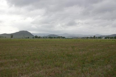 91 Acres (36.8ha) of Prime Farming Land! Picture