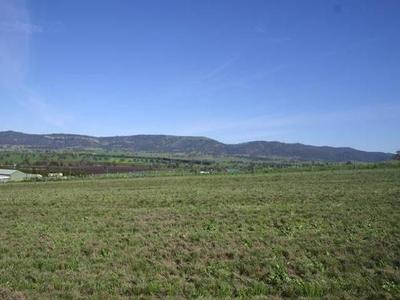 Outstanding Building Block, BUY OF THE MONTH!!! Picture