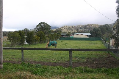 Vacant Land Picture Vacant Land Picture