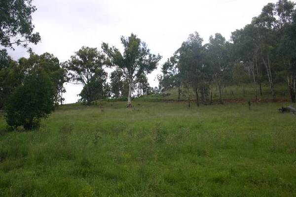 Great Views, Moonan Brook Picture 1