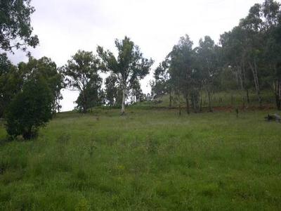 Great Views, Moonan Brook Picture