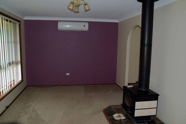Great Price, Great Presentation Picture 3