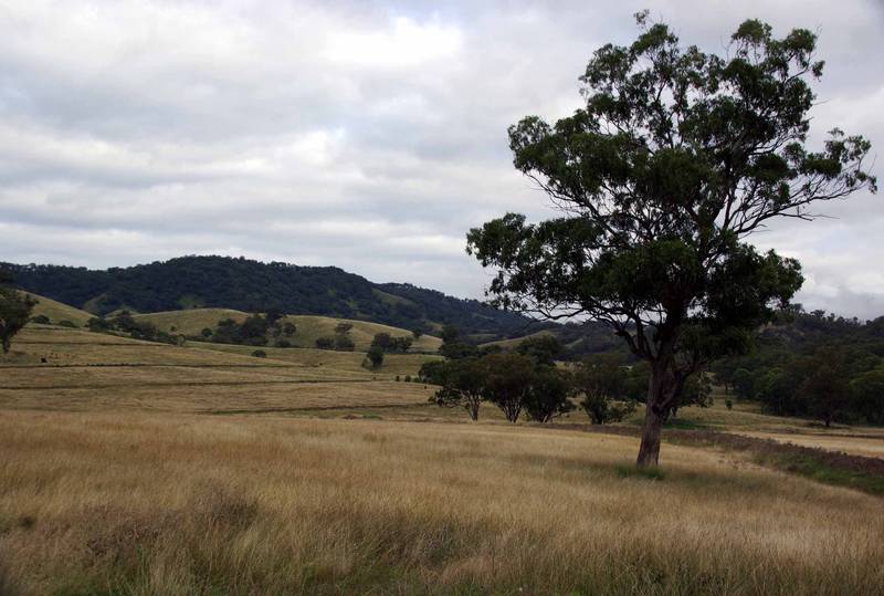 Quality Block - PRICE REDUCED OWNER SAYS SELL!!!! Picture 1