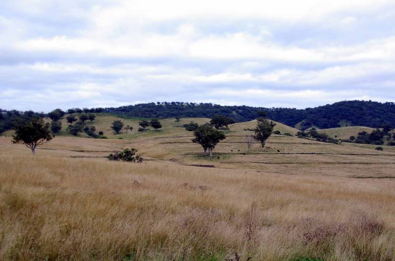 Quality Block - PRICE REDUCED OWNER SAYS SELL!!!! Picture 2