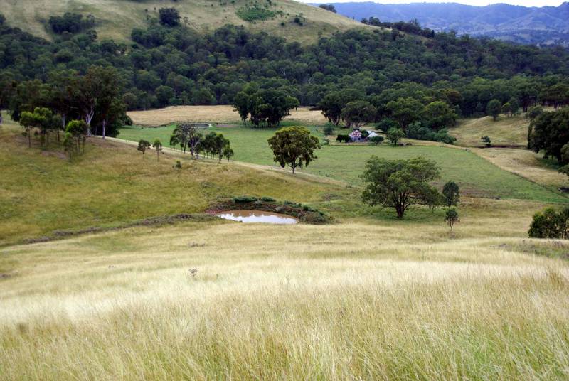 Quality Block - PRICE REDUCED OWNER SAYS SELL!!!! Picture 3