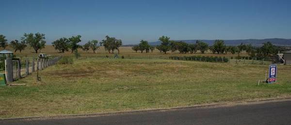 Blank Canvass - Dodd Street, Scone Picture 2