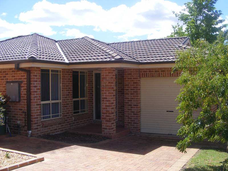 First to See Will Buy Picture 1