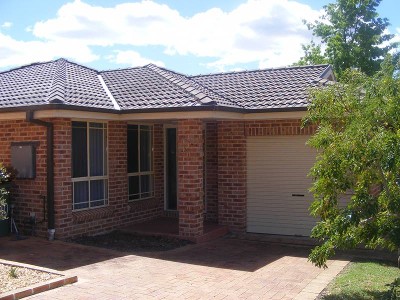 First to See Will Buy Picture