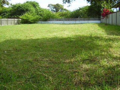 BUILD YOUR DREAM HOME Picture BUILD YOUR DREAM HOME Picture