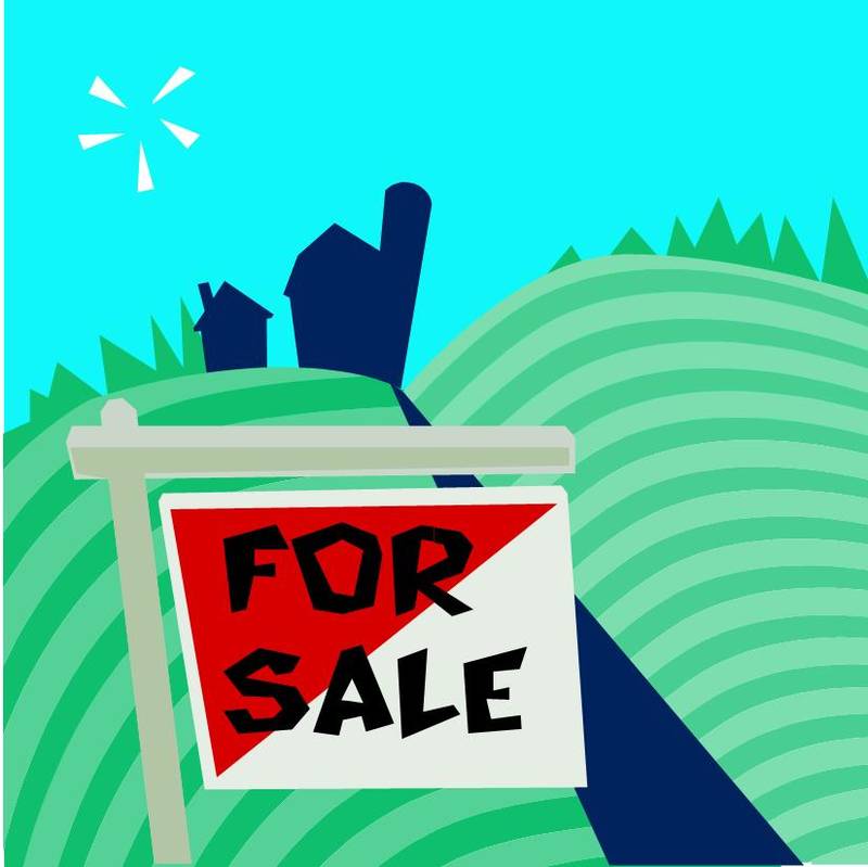 Affordable Price Tag Picture 1