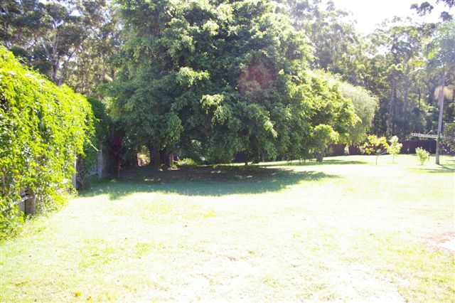 EAST SIDE OF TOWN Picture 2