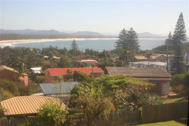 *The Pinnacle Of Excellence* Picture 3