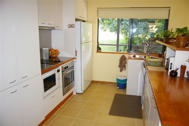 WHAT A BEAUTY! Picture 2