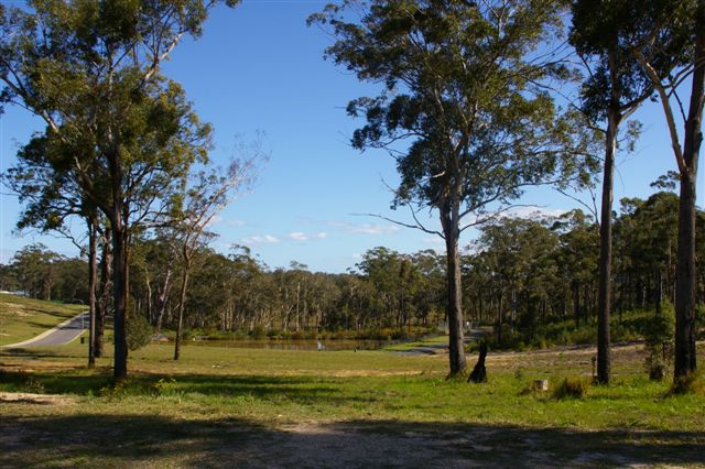 OCEAN WAVES ESTATE Picture 2