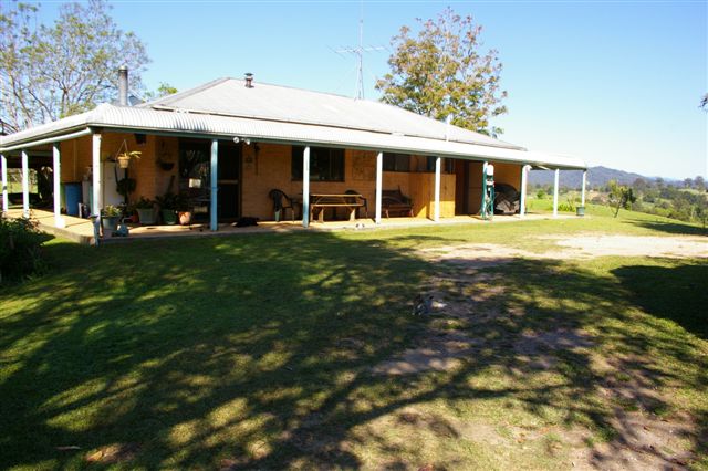 *BEAUTIFUL OUTLOOK* Picture 2