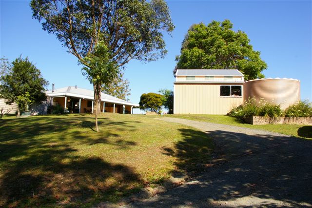 *BEAUTIFUL OUTLOOK* Picture 3