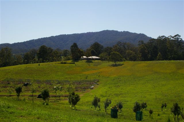 *BEAUTIFUL OUTLOOK* Picture 1