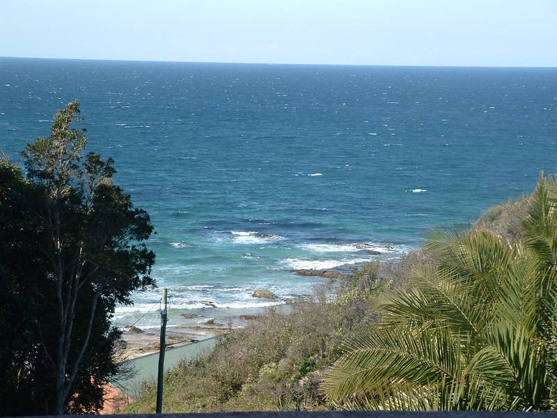 Blue Pacific Picture 1