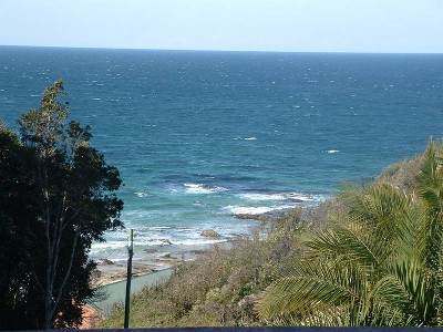 Blue Pacific Picture