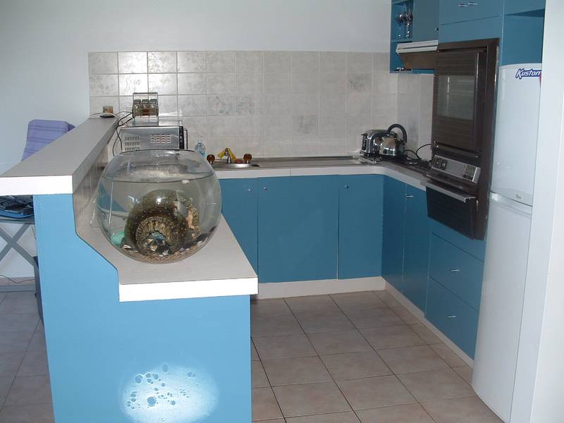 Blue Pacific Picture 3