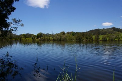 A CHANGE OF PACE Picture