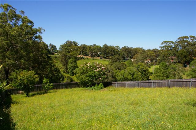 NAMBUCCA'S CHEAPEST Picture 1