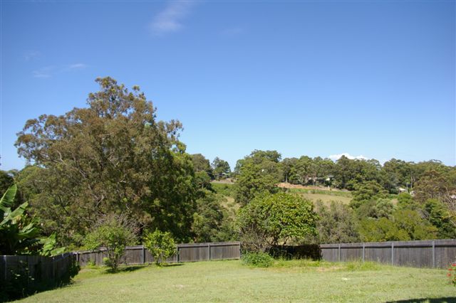 NAMBUCCA'S CHEAPEST Picture 3