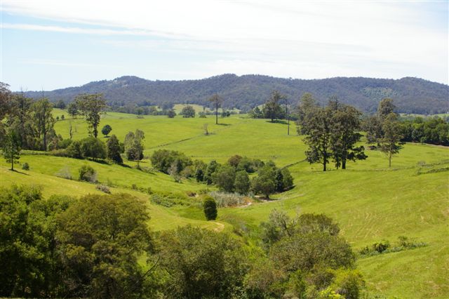 LIFE'S TO SHORT Picture 1