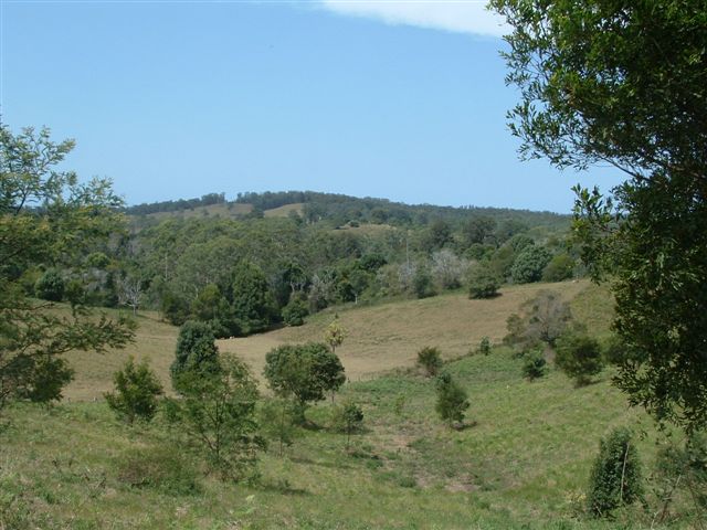 Coastal Country Picture 3