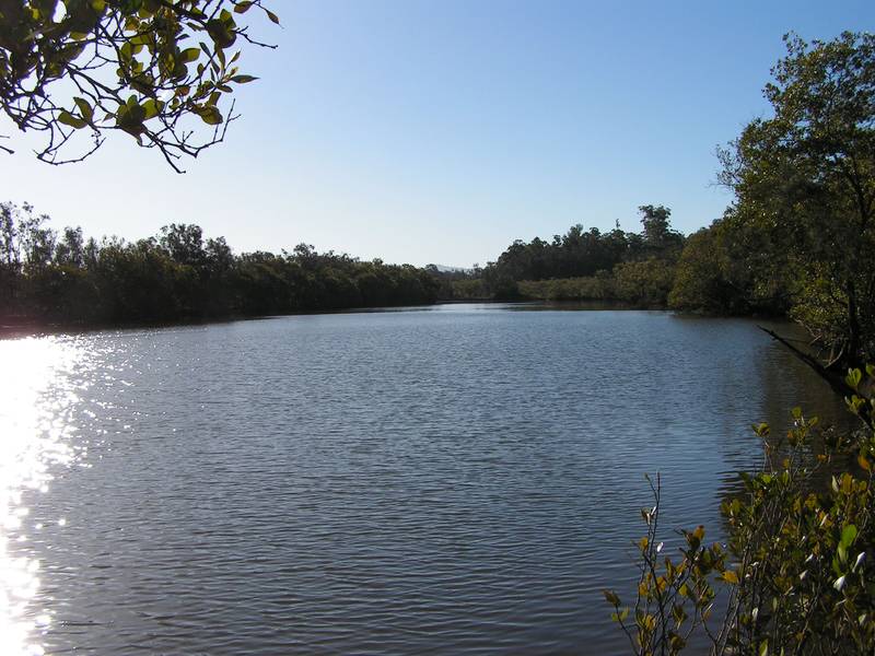 DRESSED FOR SUCCESS Picture 2