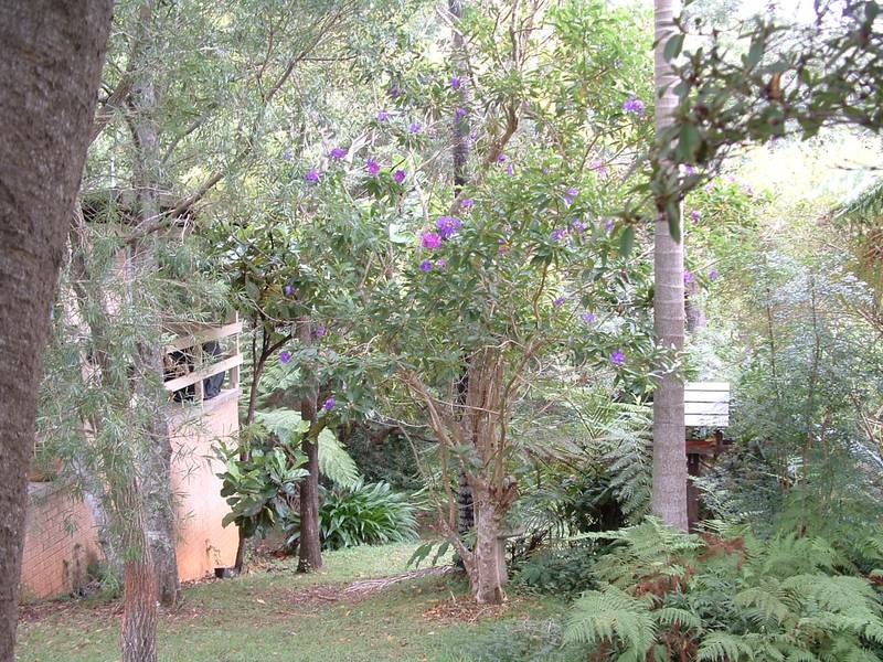 Three Bedroom Home Picture 2