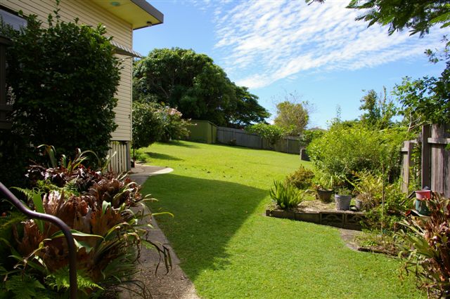 GREAT POTENTIAL Picture 3