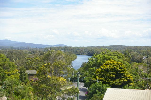 GREAT POTENTIAL Picture 2