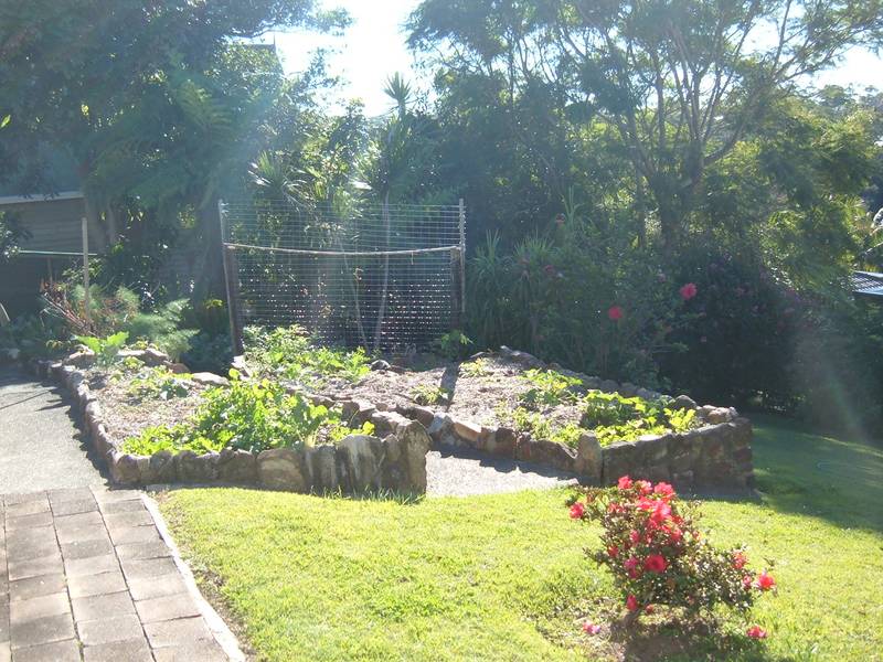 COSY COTTAGE Picture