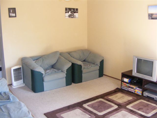 GREAT STARTER Picture 2