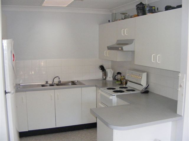 GREAT STARTER Picture 3