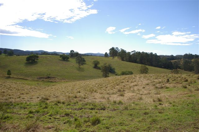 CHEAP ACREAGE BUYING Picture 1