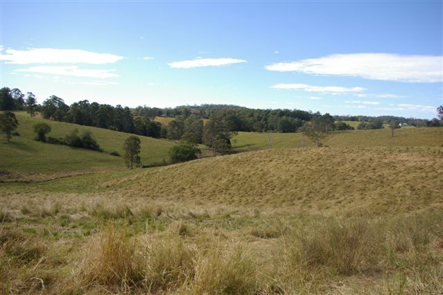 CHEAP ACREAGE BUYING Picture 3