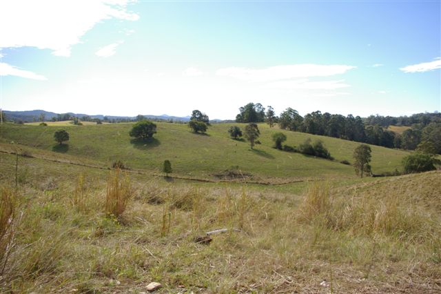 CHEAP ACREAGE BUYING Picture 2