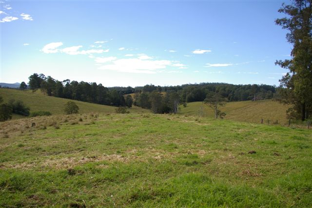 LAND AHOY! Picture 2