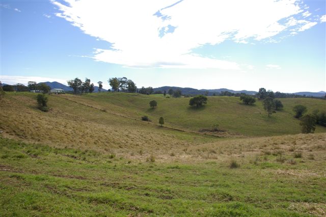 LAND AHOY! Picture 3