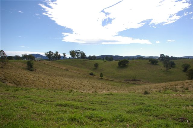 LAND AHOY! Picture 1