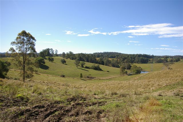 LIFESTYLE BLOCK Picture 1